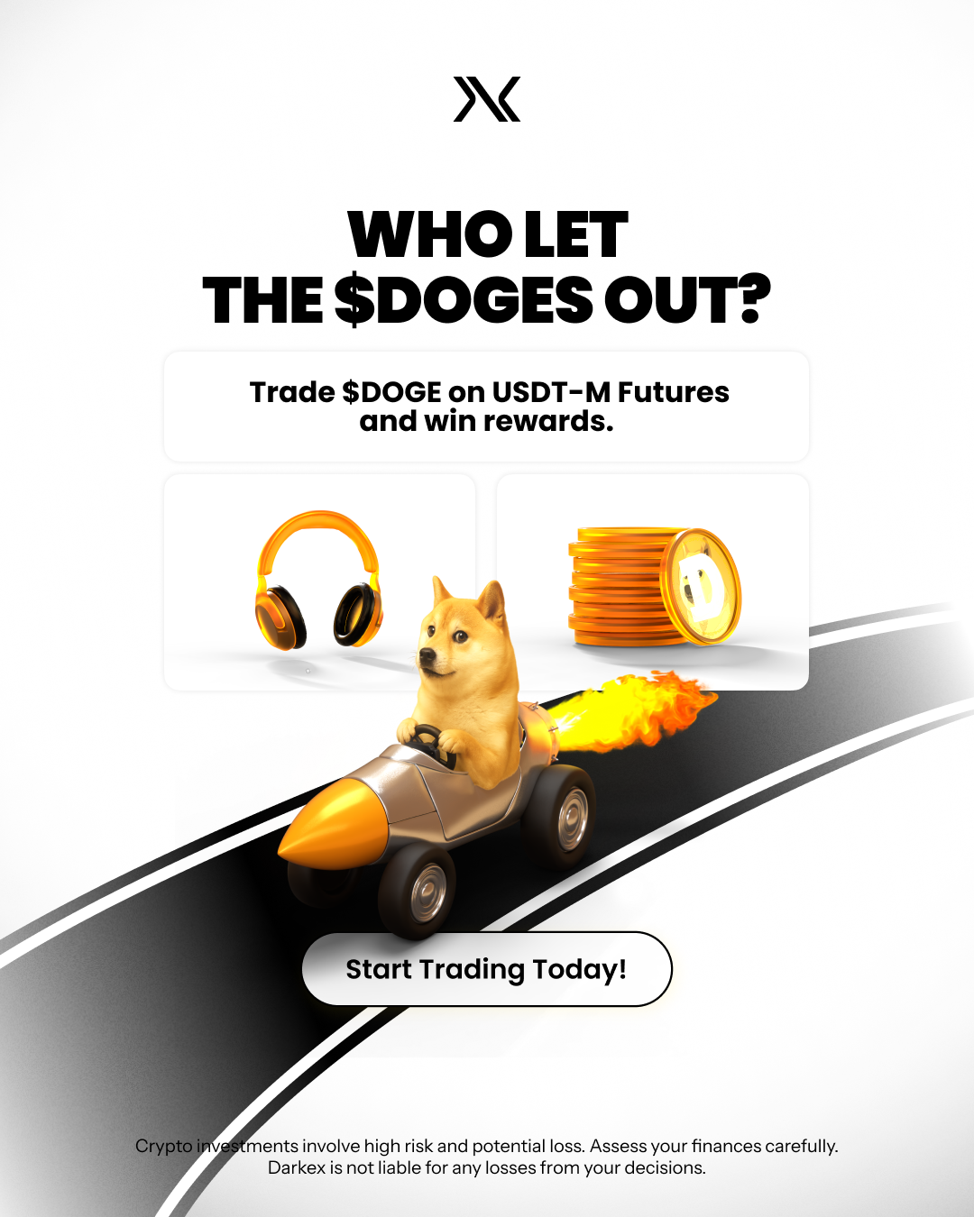 DOGE Campaign EN 1080x1350 (1).png